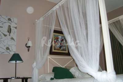 img698639_m